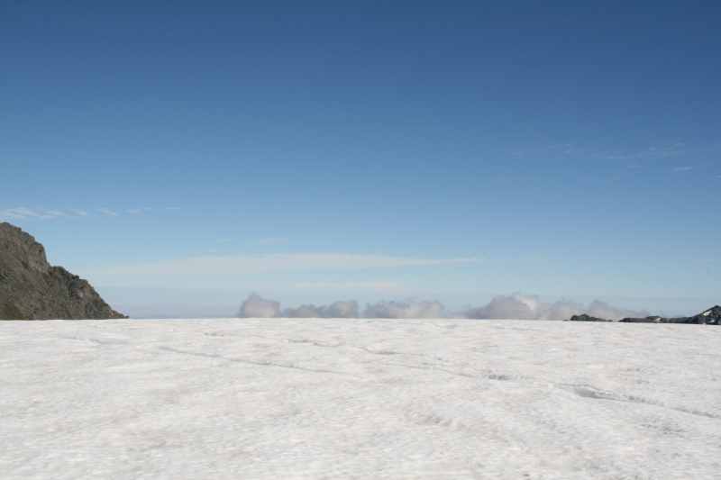 Nieuw-Zeeland 2011 - 1512
